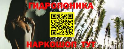ешки Будённовск
