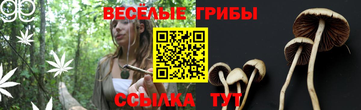 Галлюциногенные грибы GOLDEN TEACHER Пермь